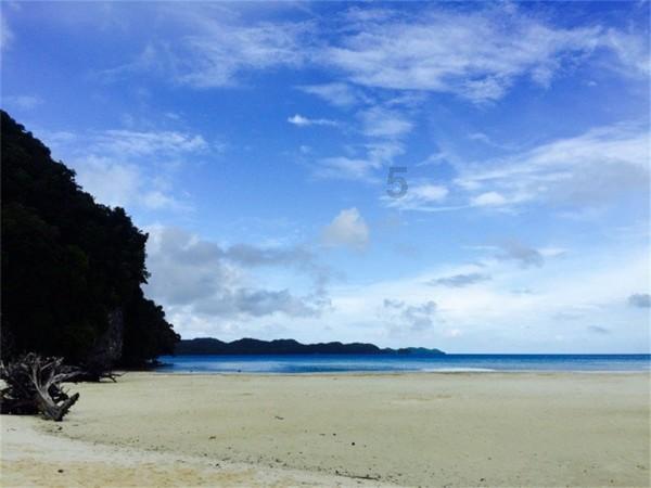 轻松解决问题,尽在海绵拖把变硬如何快速变软问答平台